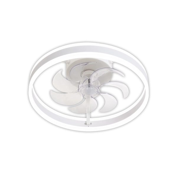 97288-primo-prcf-80609-anemisthras-orofhs-50cm-1